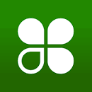 A green background with four leaf clover in the center.